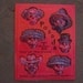 Posada Sugar Skull Molds/Candy Molds - Day of the Dead