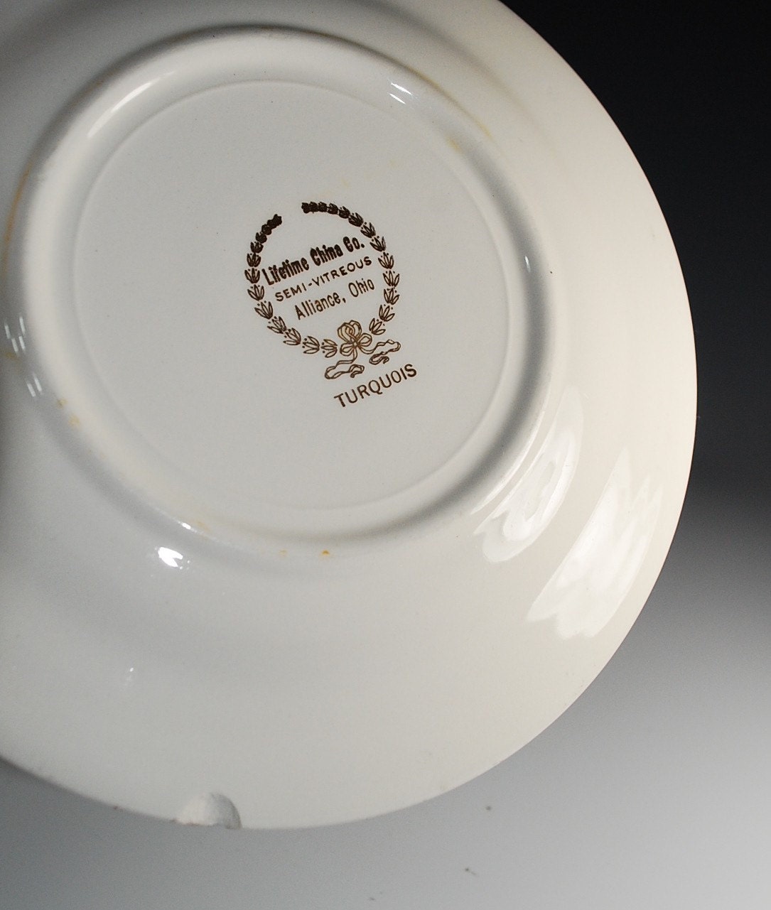 Homer Laughlin Dinnerware1957 in Turquoise Pattern Magnolia