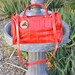 Red Eel Vintage Purse