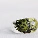 Pacific Northwest size 8 lichen and moss multifaceted eco resin ring