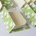 Mini Cards n Envelopes - Set of 8 - Earthy Leaves