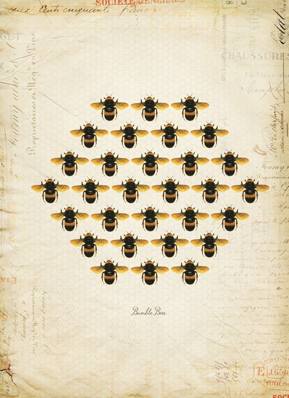 Vintage Honeycomb 114
