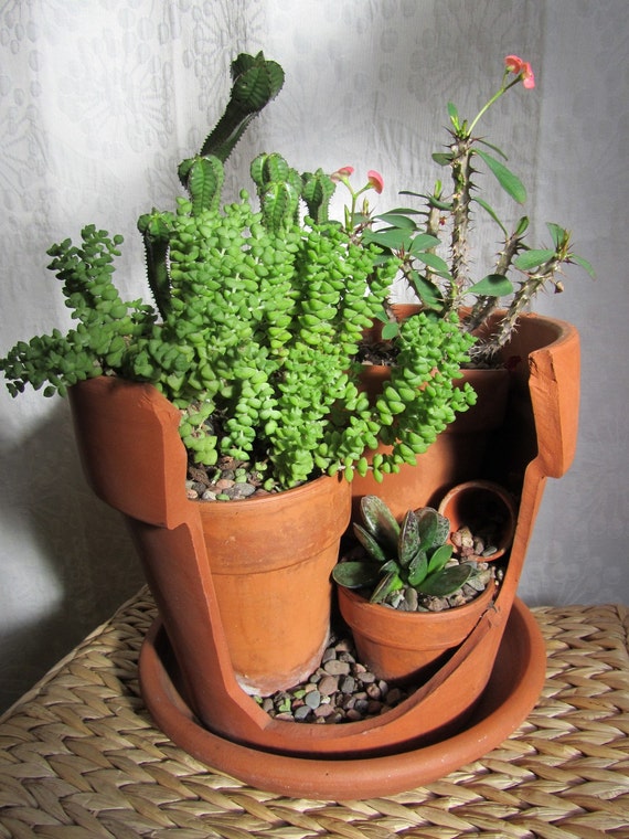 Items similar to Upcycled Broken Pot Cactus/ Succulent