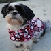SALE Small or Medium Dog Valentine I Love You Reversible Dog Jacket