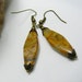 Agate Stone Earrings of Crazy Lace Agate