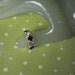 Vintage Goldtone Black & Clear Stone Sz 7 Ring