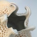 Porcelain carved vessel with curlicues in peach & white