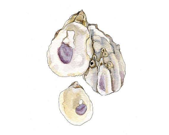 Items similar to Oyster Shells, Watercolor Nature ...