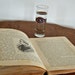 New History of Texas for Schools 1895