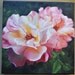 Two Roses Original Oil Painting 10x10