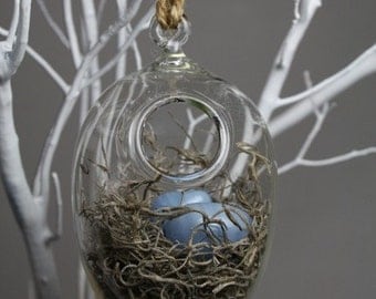 hand blown glass nest hanging terrarium with three glass eggs