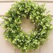 Christmas Door Wreath - Boxwood with Pearl Berries