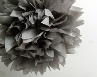 Charcoal ... 1 Pom