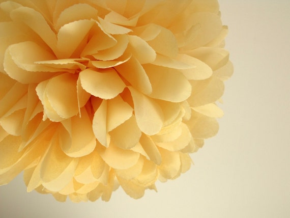 French Vanilla ... 1 Pom Il_570xn
