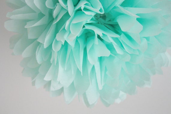 tissue paper pom ... seafoam ... 1 Pom Il_570xn