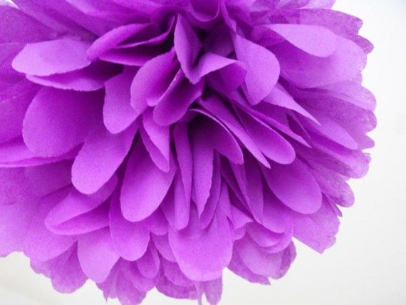 Lavender ... 1 Pom Il_570xn