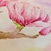 Hand painted silk scarf pink rose crepe de chine magnolia flowers. by Alery
