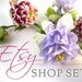 Etsy Shop Set, Banner, Avatar, Listing Graphics, Customizable Premade, Columbine Flowers