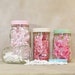 Canning jar set hand painted cream, pink, blue, and green