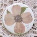 Featured in a treasury...Real pressed flower purse mirror-Item 5
