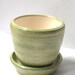 Sweetgrass green planter
