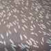 LAST PIECES - Aneta in Ironwood, from the Echo Collection by Lotta Jansdotter for Windham Fabrics, 1 yd and 15 in