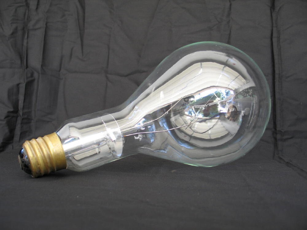Large Vintage Light Bulb
