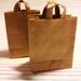 A set of 2 miniature brown paper bags.