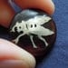 SALE Antique Fly Button 1800's Victorian Edwardian Silver and Horn
