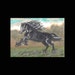 ORIGINAL PAINTING Fine Art Miniture Painting Horse " Twilight " Tiny Treasure Collectables