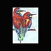 ORIGINAL PAINTING Fine Art Miniture " BEEEATERS " Tiny Treasure Collectables