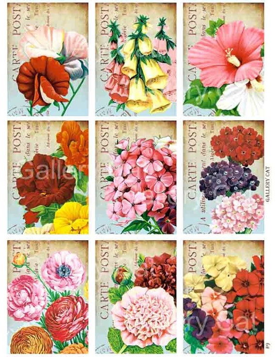 Old Fashioned Garden Flowers on French Postcard Digital