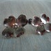 STUART NYE DOGWOOD Earrings Screwback
