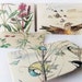 Recycled envelopes made from The Country Diary of an Edwardian Lady