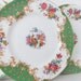 Vintage china plates - 4 Paragon Rockingham tea plates in green
