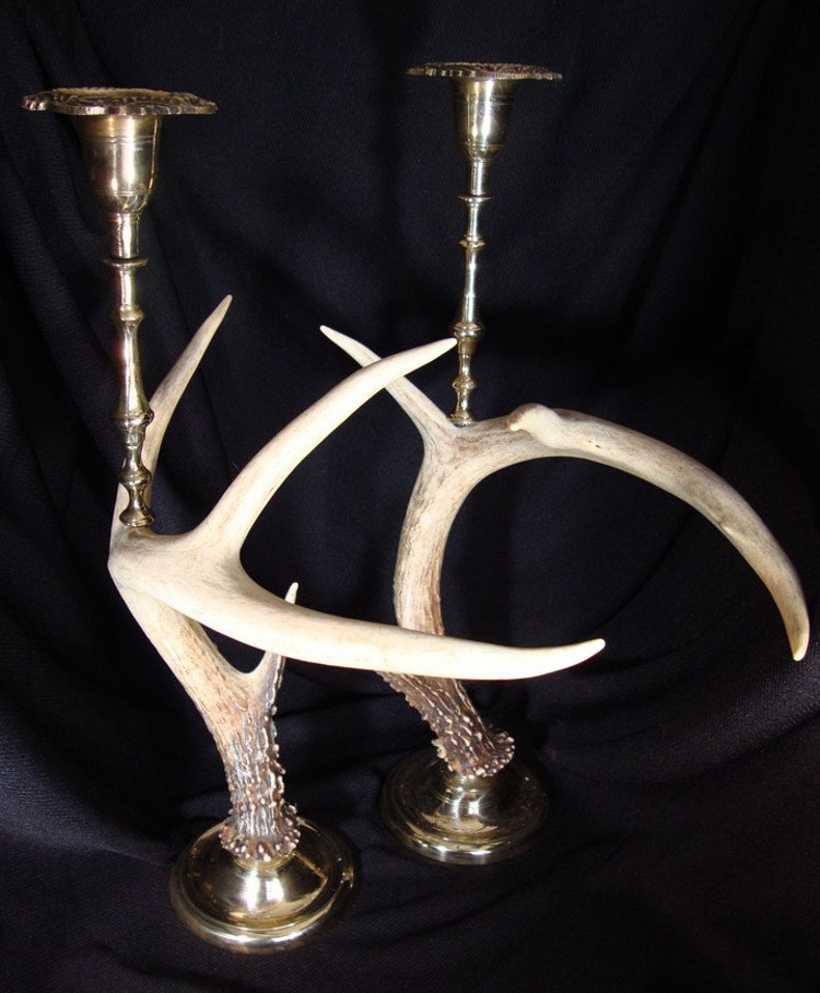 White Tail Deer Antler Candle Stick Holders by bonesandstones69