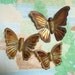 Pretty Metal Butterfly Wall Hangings