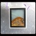 Amazonite,Picture Jasper,White Stone Intarsia Pendant Bead,25x29x6mm,10.59g