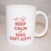 CLEARANCE SALE: The Big Bang Theory Keep Calm and Sing Soft Kitty Mug