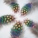 Five Small Rainbow Guinea Fowl Feathers 2