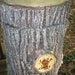 Hollow Log Wedding Envelope Holder