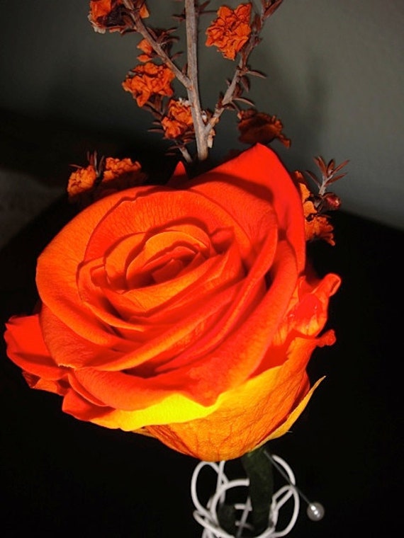 Orange Rose Boutonniere With Dried Orange Lepto By Donnahubbard