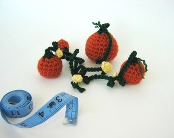 Crochet Pattern Amigurumi Pumpkin Patch Harvest Thanksgiving Halloween Decoration- PDF Format- Permission to Sell what you make