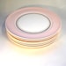 Pink American Limoges Plates- Federal Coral Pink with Gold Laurel Leaf Rim
