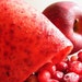 Cranberry Apple Chai - Fruit Jerky - an Edible Delight