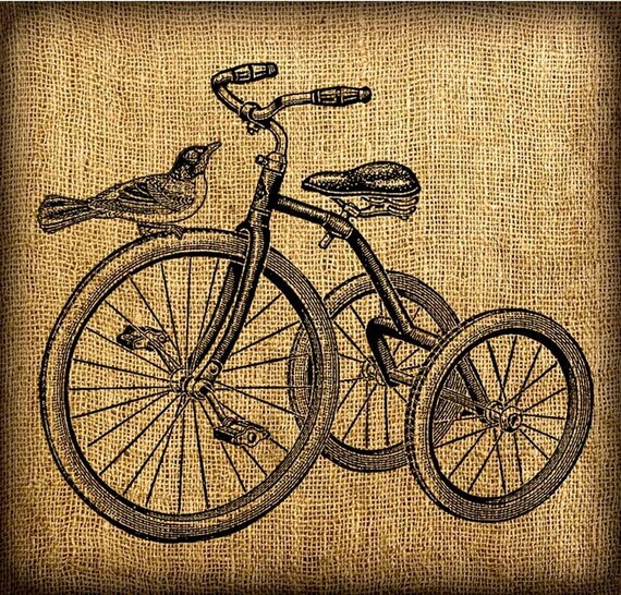 French Bird On Tricycle Vintage Digital Image Transfer