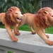 Pair of Imperial Hard Rubber LIONS Made in Hong Kong 1985
