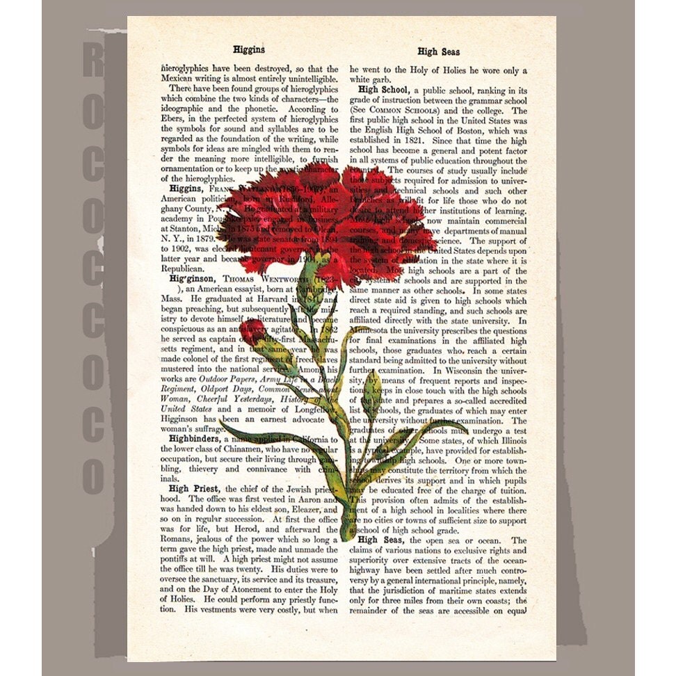 Vintage Carnation 5