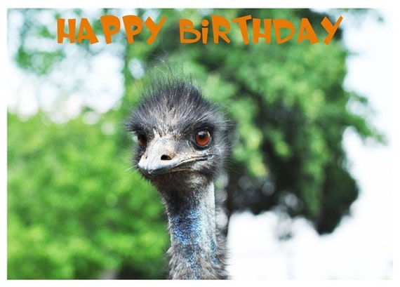 Emu Photo Birthday Card