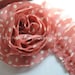 Chiffon Fold Lace Trim Pale Pink Chiffon With White Dots Lace 1.96 Inches Wide 1.3 Yards